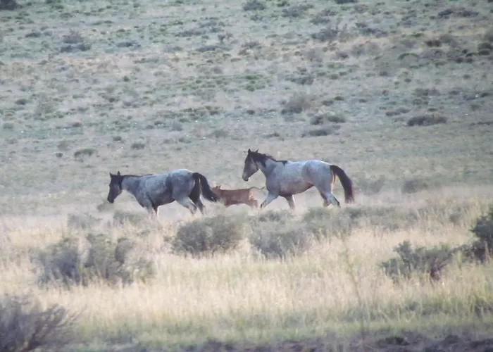 Painted Desert Wellness Retreat